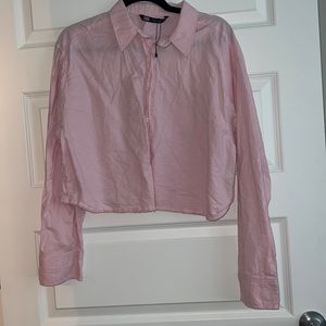 Zara: Pink Button Down (L)